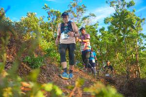 BIB: 151
                            <button type="button" onclick="openModal(21840548)" class="btn btn-primary btn-sm float-right btn-popup" data-toggle="modal" data-target=".modal-high-quality">
                        <i class="fas fa-shopping-cart"></i> Add to Cart
                    </button>
                                            <button type="button" onclick="isThisMe(21840548, true)" class="btn btn-success btn-sm float-right btn-popup btn-isme hidden" data-toggle="tooltip" data-placement="bottom" title="นี่คือรูปของคุณใช่ไหม คลิกที่นี่เพื่อเอาเข้าอัลบั้ม">
                        <i class="fas fa-plus"></i> Add to album
                    </button>
                    <button type="button" onclick="isThisMe(21840548, false)" class="btn btn-warning btn-sm float-right btn-popup btn-isnotme hidden">
                        <i class="fas fa-ban"></i> Remove from album
                    </button>